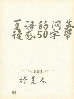 夏洛的网英语读后感50字带翻译