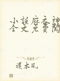 小说麻衣神算子全文免费阅读全文