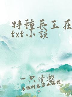 特种兵王在山村txt小说