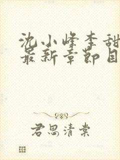沈小峰李甜小说最新章节目录笔趣阁雯雯华子