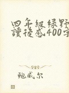 四年级绿野仙踪读后感400字