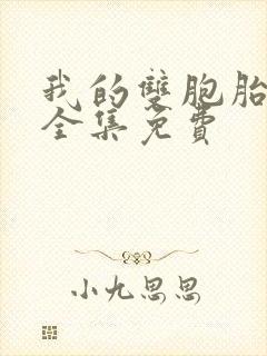 我的双胞胎老婆全集免费