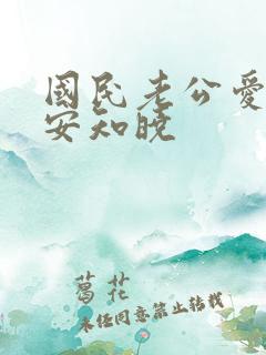 国民老公爱上我安知晓