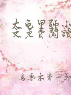 大龟甲师小说全文免费阅读全文