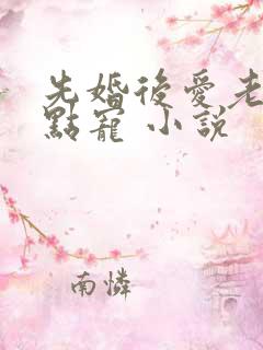先婚后爱老公轻点宠 小说