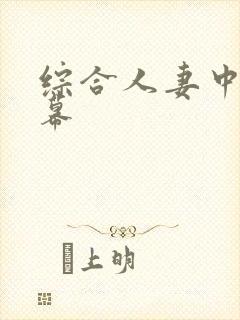 综合人妻中文字幕