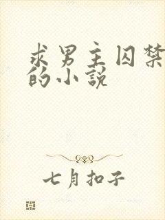 求男主囚禁女主的小说