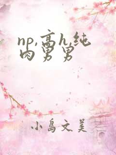 np,高h,纯肉男男
