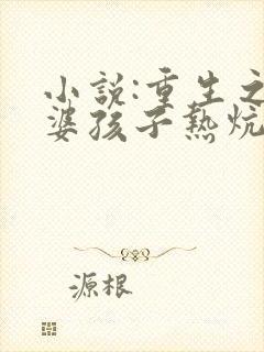 小说:重生之老婆孩子热炕头