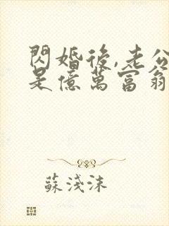 闪婚后,老公竟是亿万富翁全部章节