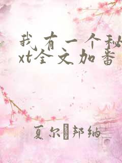 我有一个秘密txt全文加番外