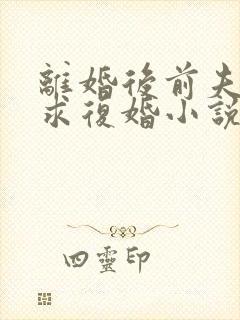 离婚后前夫哭着求复婚小说全文免费阅读
