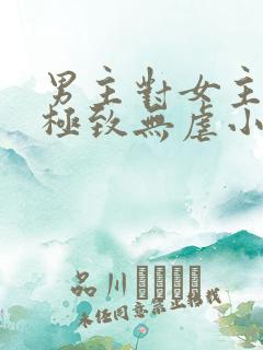 男主对女主宠到极致无虐小说