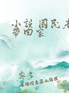 小说 国民老公带回家