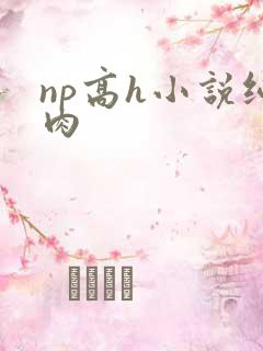np高h小说纯肉