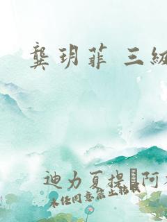 龚玥菲 三级