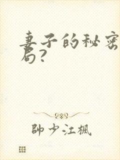 妻子的秘密大结局?