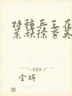 特种兵王在山村叶秋徐秀英