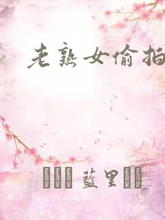 老熟女偷拍网