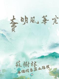 大明风华完整免费