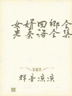 女婿回乡全村风光秦洛全集