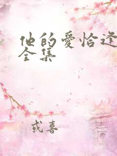 他的爱恰逢其时全集