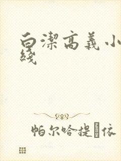 白洁高义小说在线