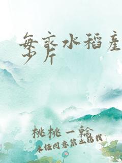 每亩水稻产量多少斤