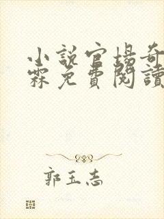 小说官场奇才李霖免费阅读