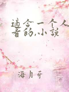 适合一个人偷偷看的,小说