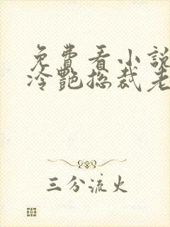 免费看小说我的冷艳总裁老婆