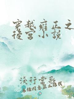穿越雍正之极品后宫小说
