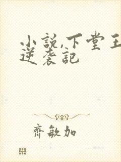 小说,下堂王妃逆袭记