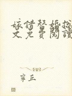 嫁错替婚总裁全文免费阅读