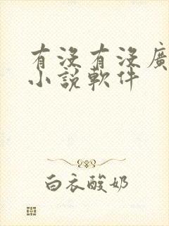 有没有没广告的小说软件