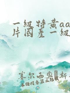 一级特黄aa大片国产一级