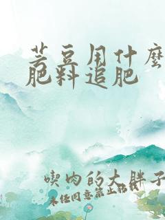 芸豆用什么样的肥料追肥