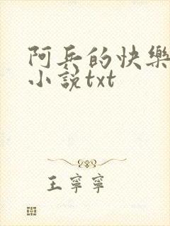 阿兵的快乐生活小说txt
