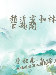 赵清灵和林凡的笔趣阁