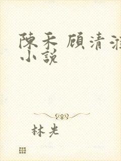 陈禾 顾清淮 小说