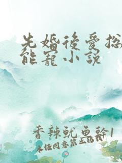 先婚后爱总裁太能宠小说