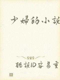 少妇的小说