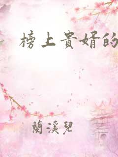 榜上贵婿的小说