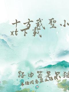 十方武圣小说txt下载