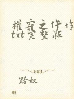 权宠之仵作医妃txt完整版