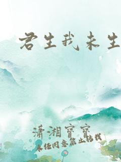 君生我未生原诗
