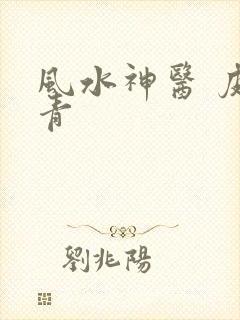 风水神医 皮剑青
