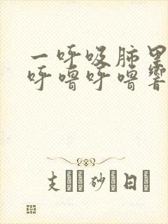 一呼吸肺里面就呼噜呼噜响