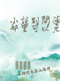 小说别闹薄先生哪里可以免费阅读
