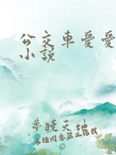 公交车爱爱口述小说